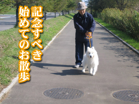 おじいちゃんとボク 獅子桃ワンキャン日記