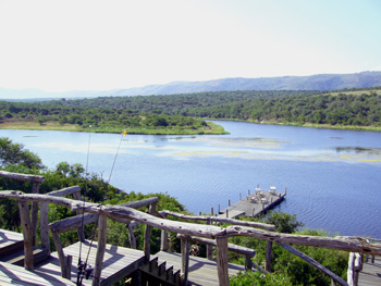 a0015132_975030.jpg