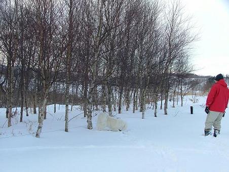 雪の中の僕とお父さん♪_a0057237_075275.jpg