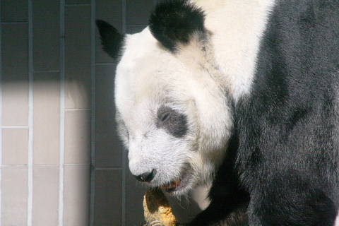 e0086860_021663.jpg