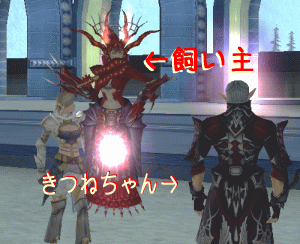 b0067770_149350.gif