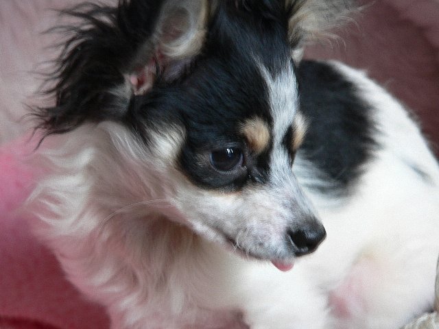 c0057009_11172161.jpg