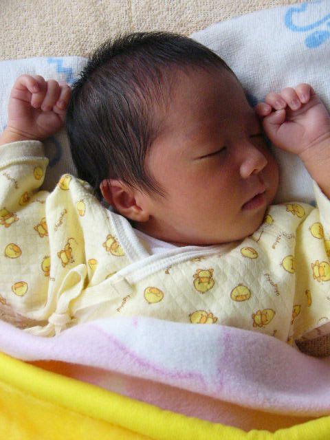 a0042310_11315847.jpg
