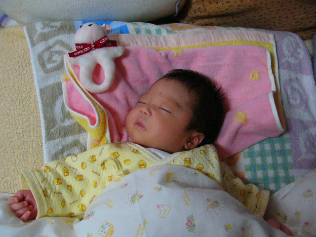 a0042310_11384248.jpg