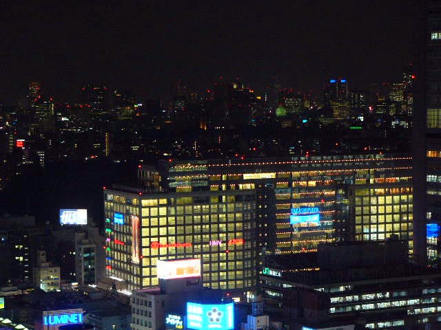 東京散歩_a0042310_1413162.jpg