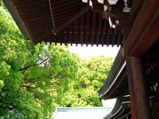 東京散歩_a0042310_14154843.jpg