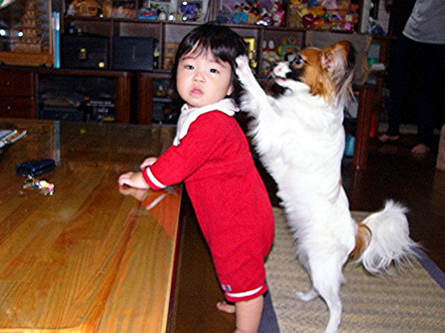 a0042310_15181523.jpg