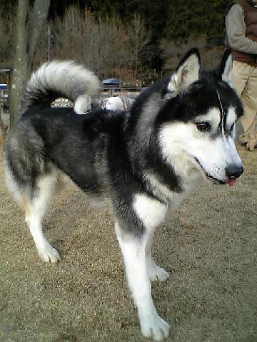 c0003217_2320333.jpg