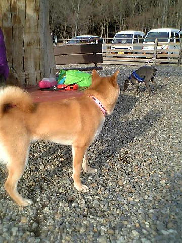 c0003217_2323511.jpg