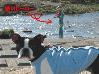 e0080117_18202075.gif