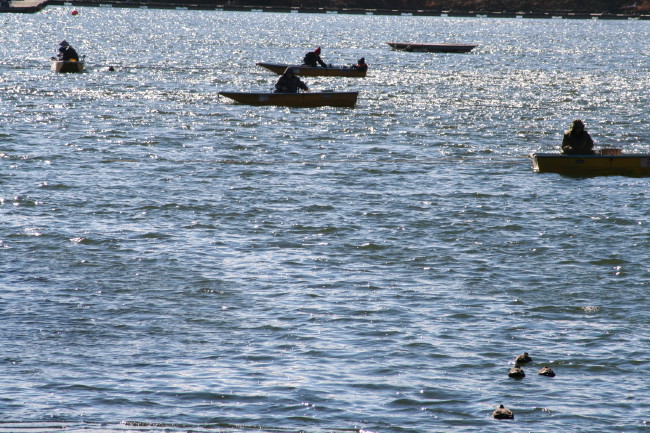 f0017530_17364535.jpg