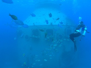 ワイドレンズ_d0012449_20341129.jpg