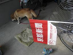 ありがとうございます! さきほど。。。_c0049950_22184785.jpg