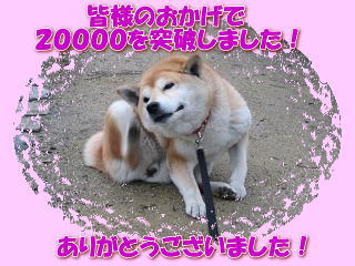 ありがとうございます! さきほど。。。_c0049950_23531969.jpg