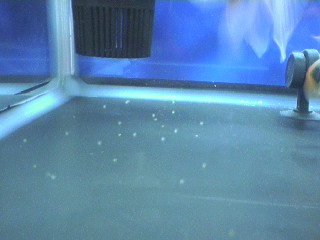 e0067674_8293066.jpg
