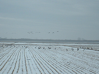 c0068891_16503582.jpg
