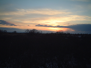 c0068891_1714986.jpg
