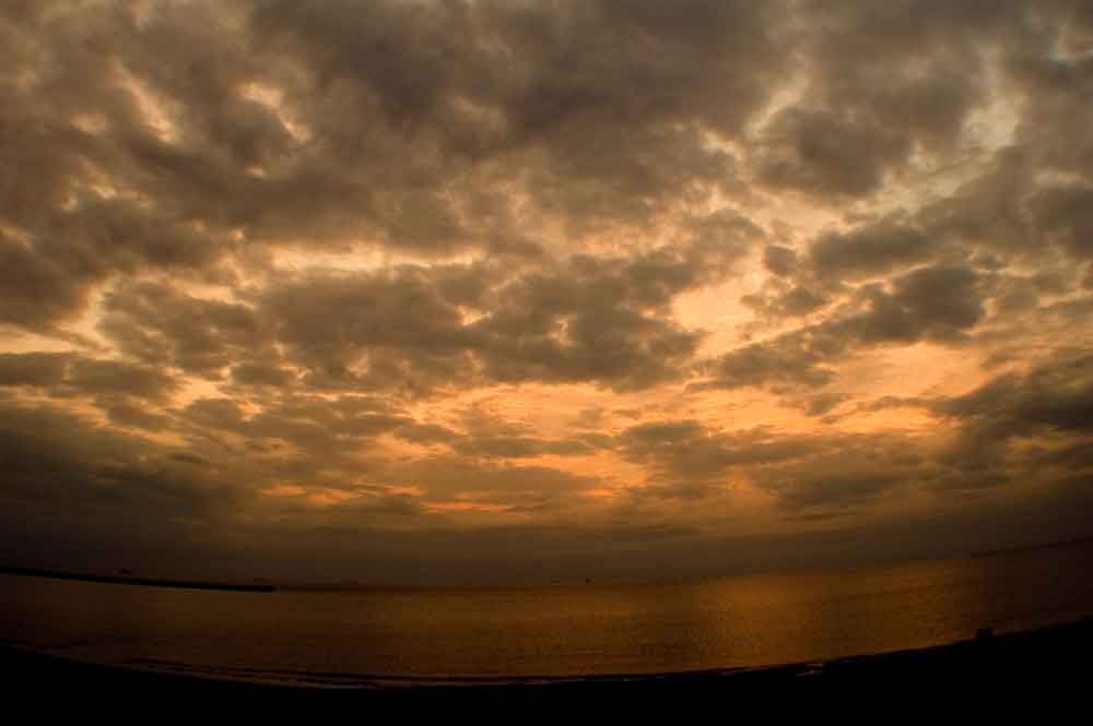 a0059621_05731.jpg