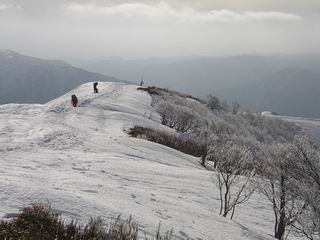 c0029332_2184465.jpg