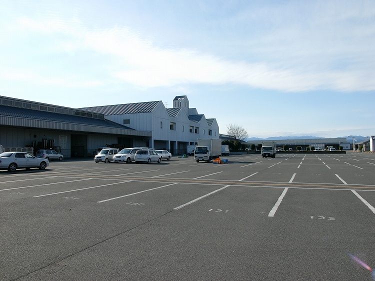 埼玉川越総合地方卸売市場　花いち_e0000746_1731248.jpg