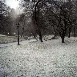 b0068959_0423184.jpg