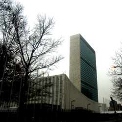 b0068959_11374.jpg