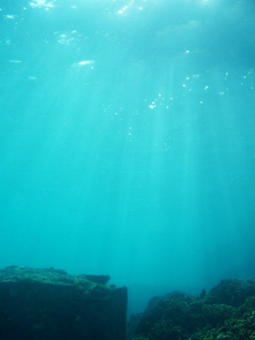 f0023210_215212.jpg