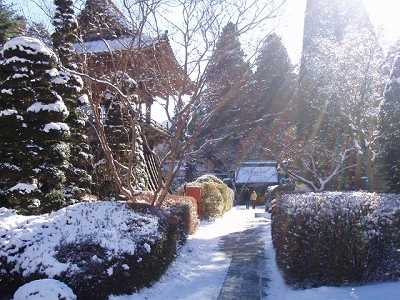 別所温泉　信州の鎌倉散策２(安楽寺～常楽寺)　～長野上田市～_c0055515_0171819.jpg