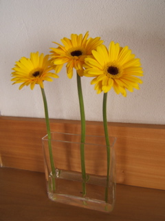 黄色いガーベラ_c0004024_20412522.jpg