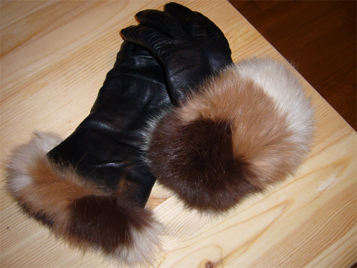 c0006748_15587.jpg