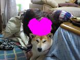 サイ~♪ お客さんやで!_c0049950_054062.jpg