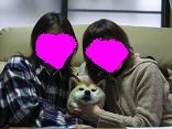 サイ~♪ お客さんやで!_c0049950_083818.jpg