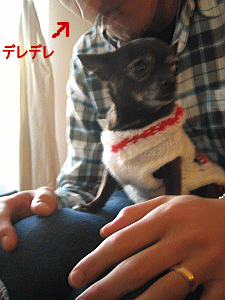 b0035453_10334267.gif