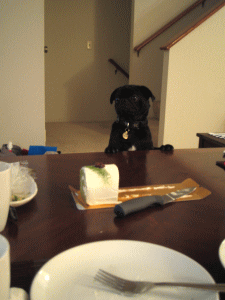 b0035453_10524231.gif