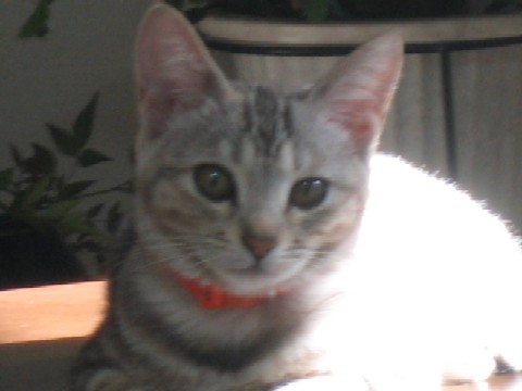 b0054391_168510.jpg