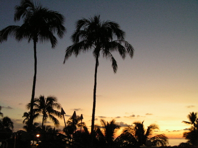 d0032693_16185340.jpg