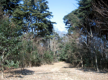 1月12日 江古田の森保健福祉施設見学_c0013698_16161094.jpg
