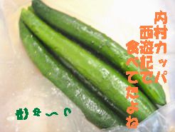 a0054504_11135733.jpg