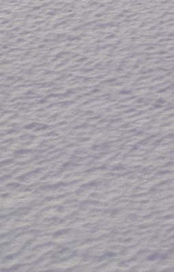 e0008704_941590.jpg