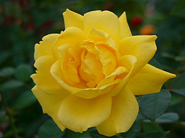 a0042310_2247308.jpg