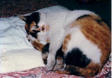 c0003217_22561830.jpg