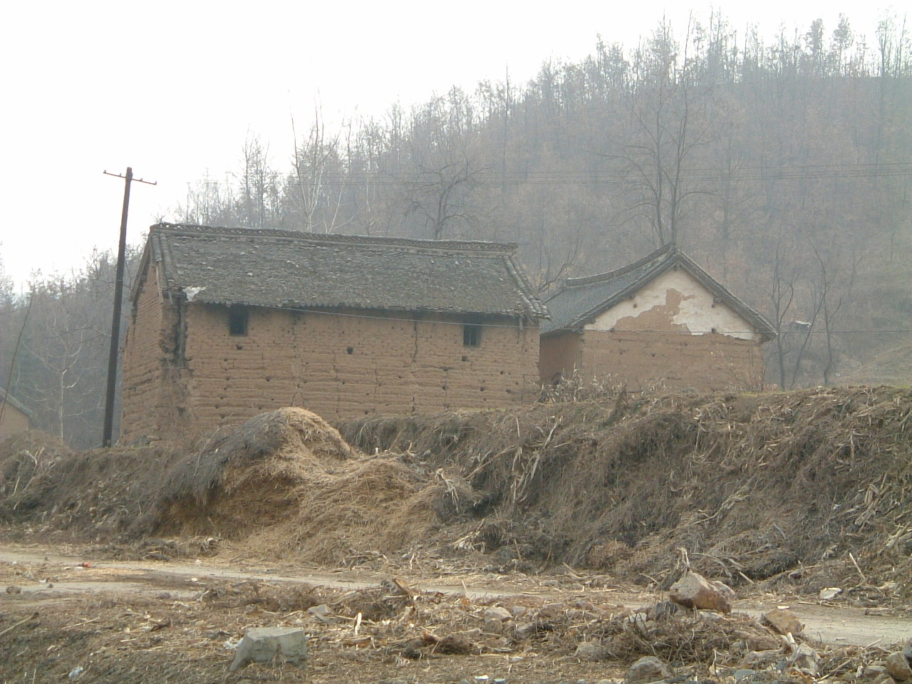 c0029042_837698.jpg