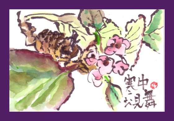 貰うともっと嬉しい寒中見舞い_e0074955_16181595.jpg