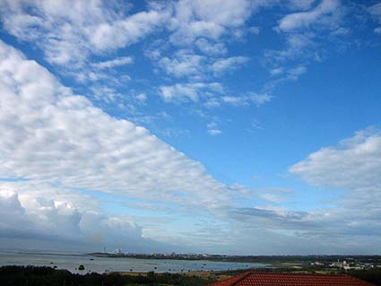 c0004193_1316480.jpg