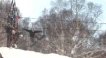 c0025895_111969.jpg