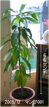 a0034198_17481844.jpg