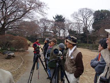 ★鳥観察イベント開催★_b0049307_21584354.jpg
