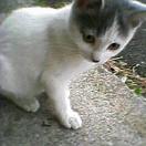 c0005007_3493279.jpg