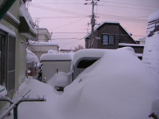 今朝も大雪_c0025115_16255989.jpg