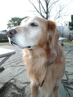 f0035927_11523615.jpg